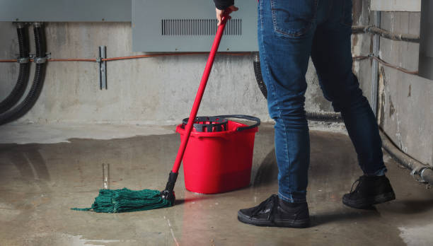 Best Ceiling water damage repair  in King City, CA