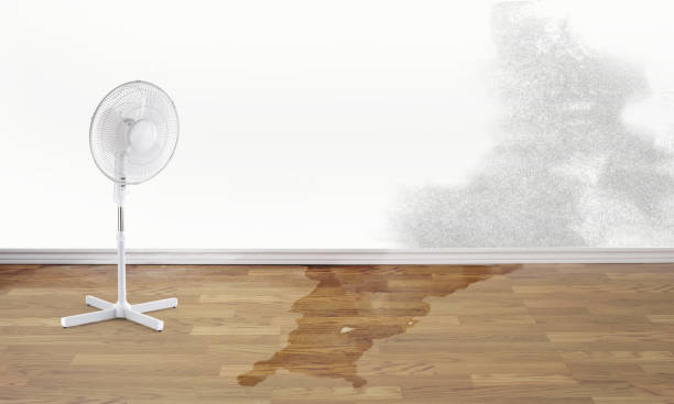 Best 24/7 water damage repair  in King City, CA