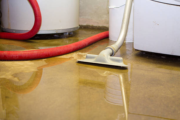 Best Water damage contractors near me  in King City, CA