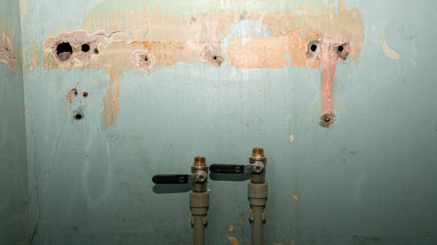 Best Flood damage cleanup  in King City, CA