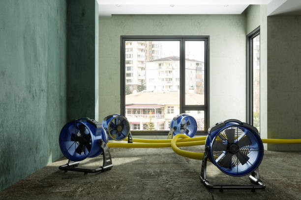 Best 24-hour water damage restoration  in King City, CA